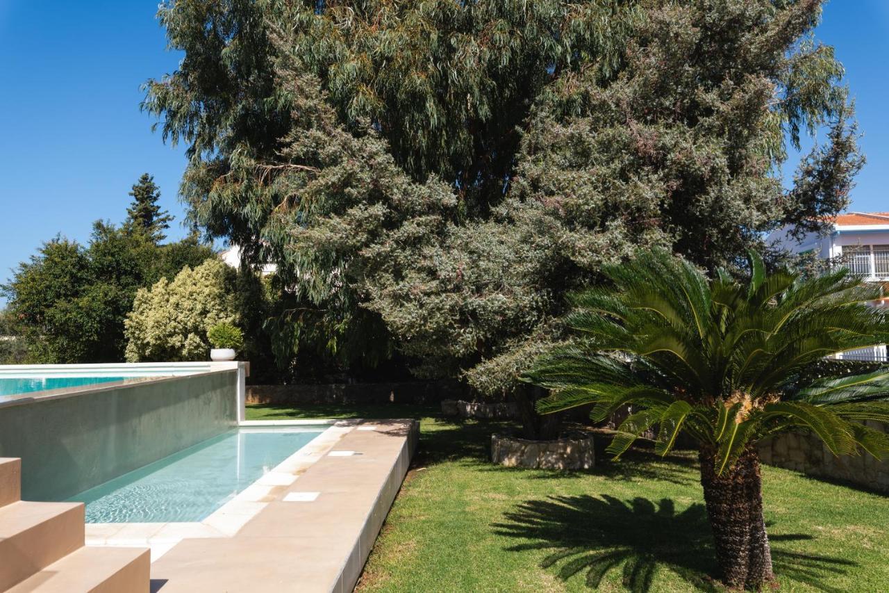 Cedar Tree Villa Kounoupidhianá 외부 사진