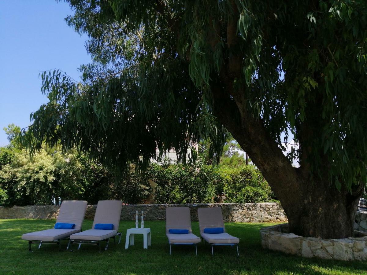 Cedar Tree Villa Kounoupidhianá 외부 사진